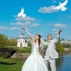 Білі голуби на весілля у Львові